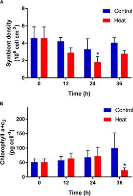 Increased Ammonium Assimilation Activity in the Scleractinian Coral Pocillopora damicornis but Not Its Symbiont After Acute Heat Stress